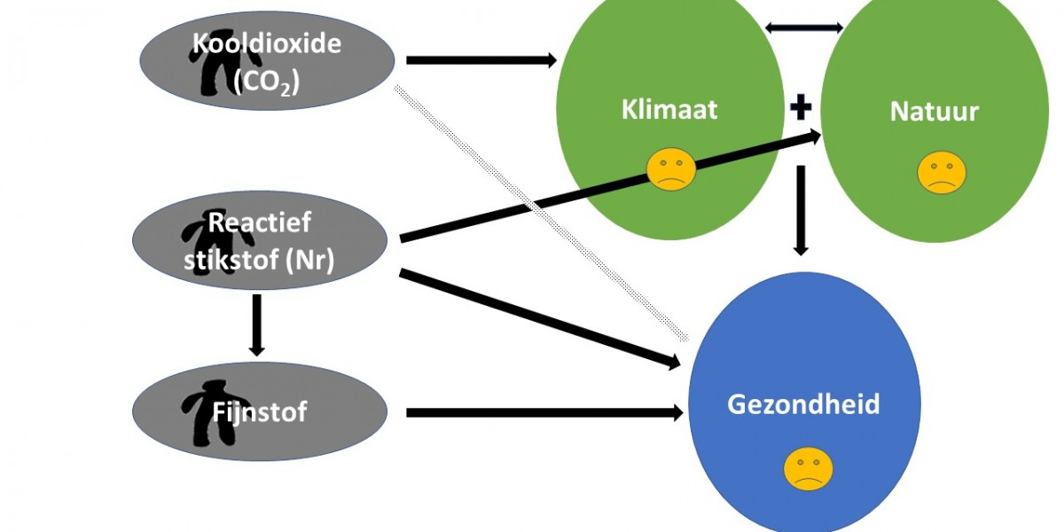 grafische weergave effecten mens op klimaat en natuur