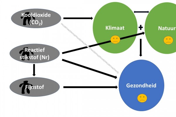 grafische weergave effecten mens op klimaat en natuur